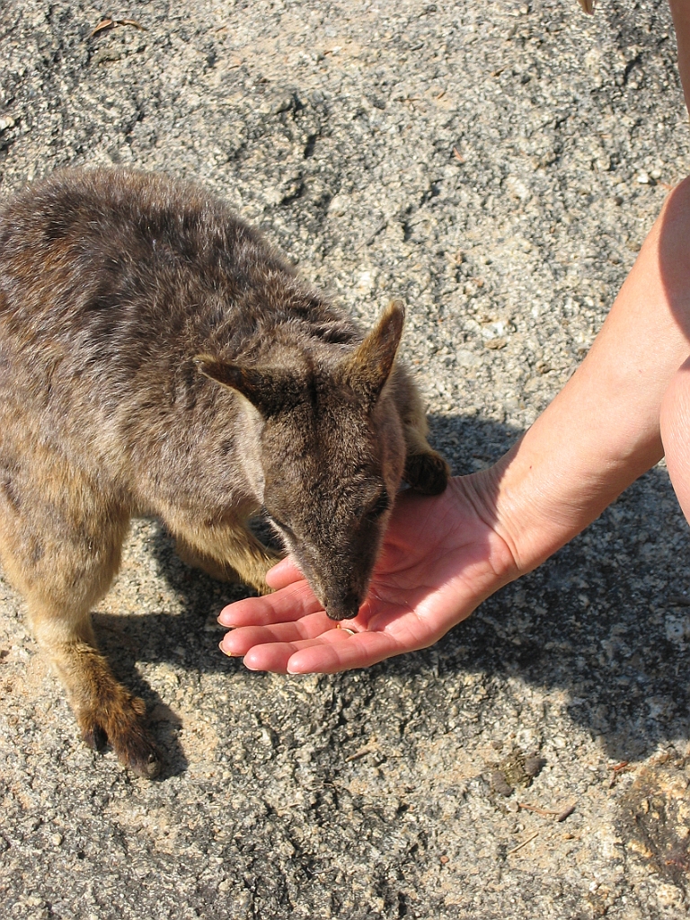 067 Granite Gorge.jpg